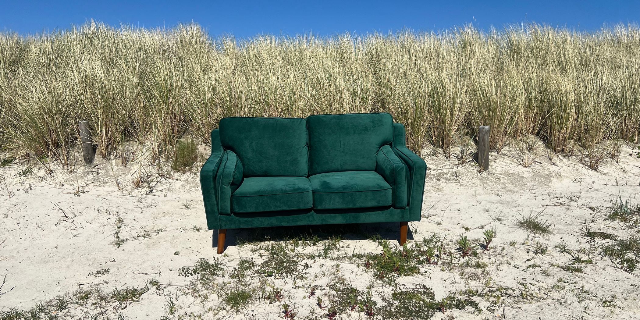 Das grüne Club of Comfort Sofa